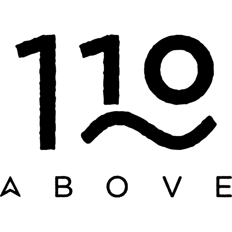 110 above logo